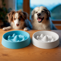 Gamelle Anti-Glouton pour Chien & Chat — Digestion Facilitée