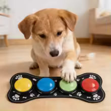 Boutons Parlants pour Chien — Set de 4