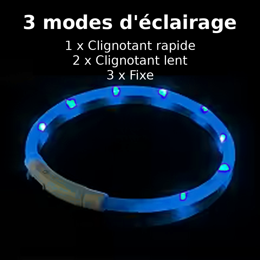 Collier LED Lumineux pour Chien