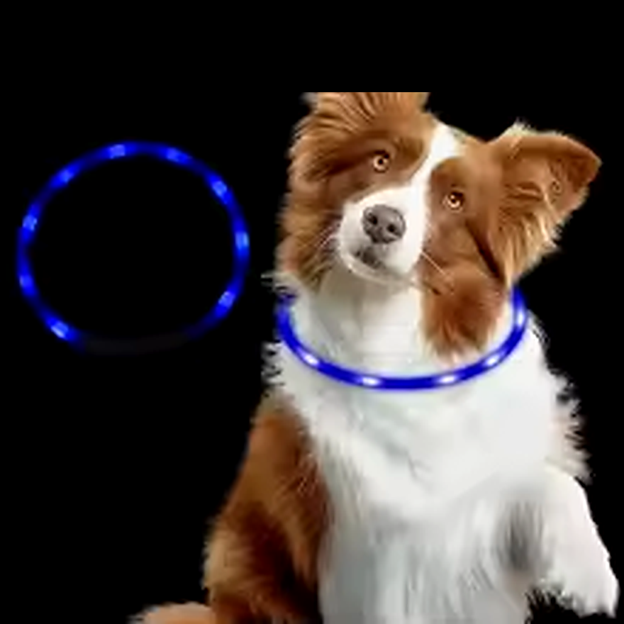 Collier LED Lumineux pour Chien